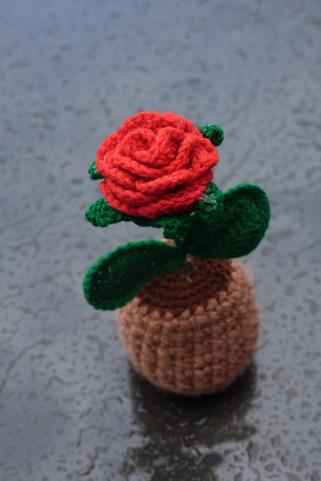 Rose Pot