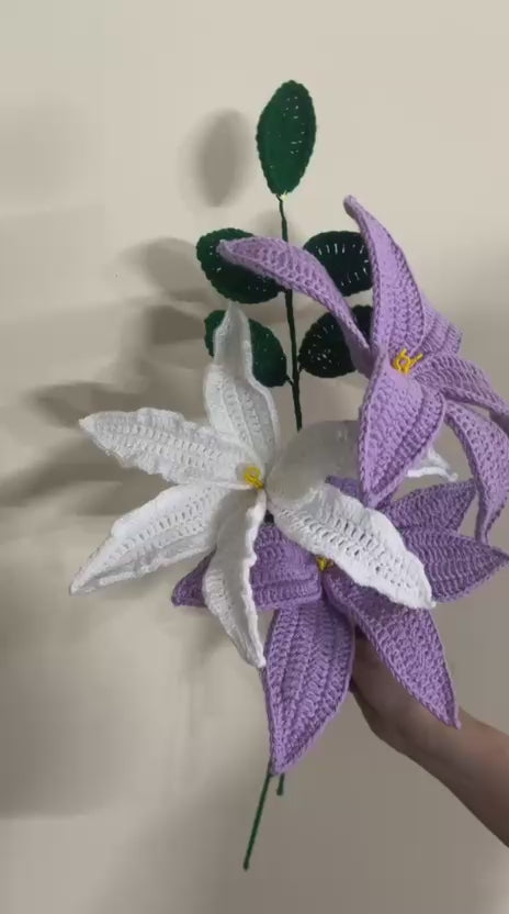 Moonlit Violet Lily